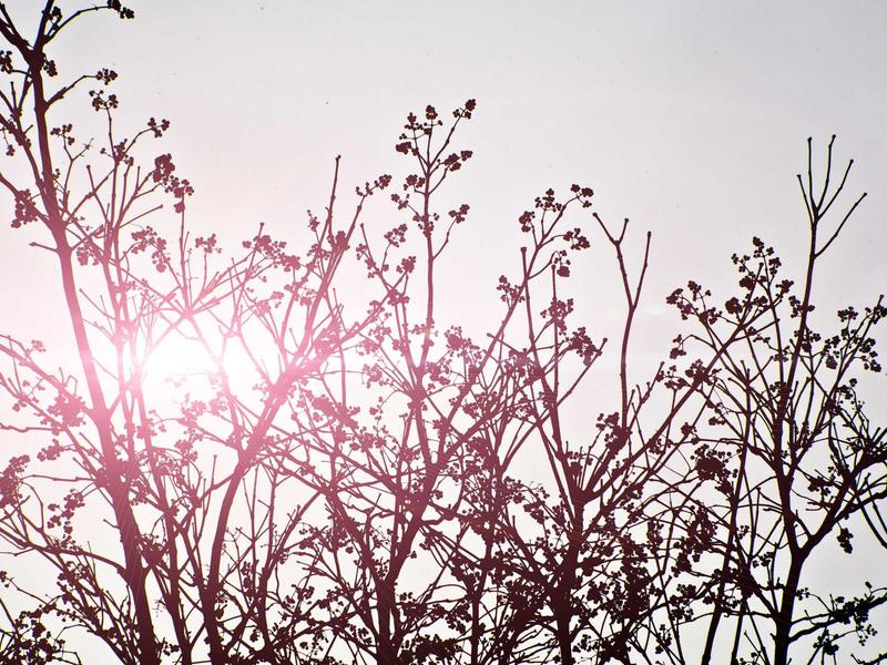 accessibility screenshot 2